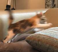 https://images.plurk.com/2HxXshFkV8z9lUV00o8O4r.jpg