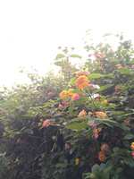 https://images.plurk.com/2I5sFk0ErB32ZALtOMjvZx.jpg