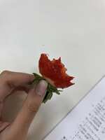 https://images.plurk.com/2I7WWyTmhFrXudcdjlZNtO.jpg