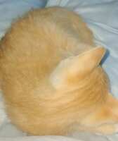 https://images.plurk.com/2IHPD9u2QFIIbXJOSrKmTP.jpg