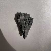 https://images.plurk.com/2IJD25XiBuFicFZmdEY9JD.jpg