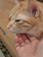 https://images.plurk.com/2IQHpyc7VhQvfgGZ63IqJP.jpg