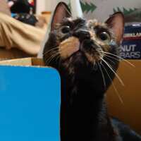 https://images.plurk.com/2IQYXXXH83YDmALtT00pjl.jpg