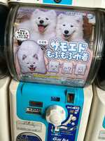 https://images.plurk.com/2IaHgjfj7D4vVv2eIkUAo0.jpg