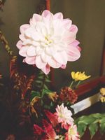 https://images.plurk.com/2IgZXyVBuhgb6CrqhZ6n9.jpg