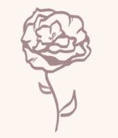 https://images.plurk.com/2IinCUAlM51Gjigq1DeosV.png