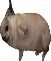 https://images.plurk.com/2IjonZ6uQak7eoq2ERsOiM.jpg