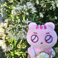 https://images.plurk.com/2IqKaGYmf1u1xhLPRTZ5b4.jpg