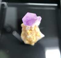 https://images.plurk.com/2Ivb1iTpuSO3PyOuB9ltku.jpg