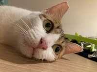https://images.plurk.com/2IyEEVBhQD7hmxuHR6rSJj.jpg