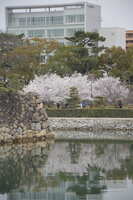 https://images.plurk.com/2J744xyE7Pa3XDq1kdeAME.jpg