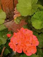 https://images.plurk.com/2JBI8WCMRWZsz4oPTMycQ1.jpg