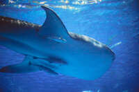 https://images.plurk.com/2JFHwzYhk5zAaLlwA9iFHB.jpg