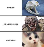 https://images.plurk.com/2JRCkNaRVVkhyPZQHZj8PU.jpg