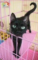 https://images.plurk.com/2Jazw2Y5WPqgQPp5hrSn.jpg