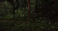 https://images.plurk.com/2Jvjxh36SOtD9RiqpeuD9n.jpg