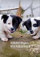 https://images.plurk.com/2K2wPfH5ffcNGAYLT6OV42.jpg