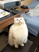 https://images.plurk.com/2K4TPfNwnbZGJ1xh6Jkc76.jpg