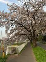 https://images.plurk.com/2KN0bqGp9sh6q7LIzFGMPI.jpg