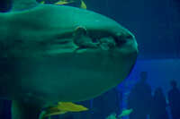 https://images.plurk.com/2KPAHIL1KjMINrnElR3pQA.jpg