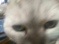 https://images.plurk.com/2KPh0p2NQmHDrc64oAjWuh.jpg