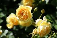 https://images.plurk.com/2KRKQJl5qDfCLPq4Nnduns.jpg