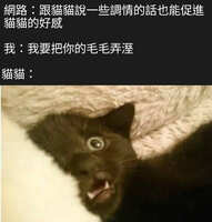 https://images.plurk.com/2KW7PdOrv2jBucWwGI9RJe.jpg