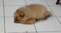https://images.plurk.com/2KYjLytJX7JnuroZMexUdp.jpg