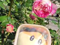 https://images.plurk.com/2Kbae7uUg8fwUl4IUlEImY.jpg