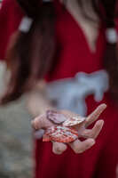 https://images.plurk.com/2KogKucFxnlHQX06SbMuJ.jpg