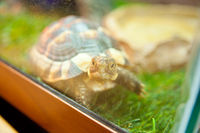https://images.plurk.com/2KoyUnTmBXUyWSNsWhCXaU.jpg