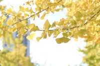 https://images.plurk.com/2Krz4KZnAp0djw7miEfXm4.jpg