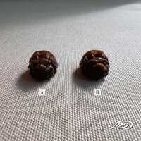 https://images.plurk.com/2KtastqxkeOodUPWVAHTP9.jpg