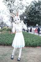 https://images.plurk.com/2KtyDzZAAX3ZBSBmhcZatC.jpg