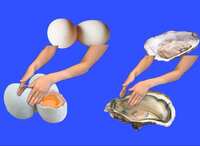 https://images.plurk.com/2KwUE38WmkXXD1NrFan8C5.jpg