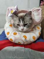 https://images.plurk.com/2L5ruXte44lnDKtQxA7QWc.jpg