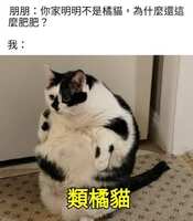 https://images.plurk.com/2L6LBtkWMGeRMkSY2lKavg.jpg
