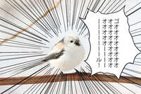 https://images.plurk.com/2L6b5nZN8WKd07tpH91MQA.jpg