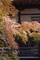 https://images.plurk.com/2L7NTvv2STZYld0MvRO26L.jpg