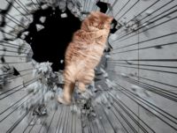 https://images.plurk.com/2LGPxjiihGiV7Mpcg8mK2U.png