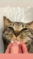https://images.plurk.com/2LPPwi6U66Mr9Y3xpFFr5U.png