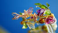 https://images.plurk.com/2LQPSsd7jjWOlXULXpAfwu.jpg