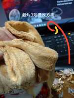 https://images.plurk.com/2LTRIDh7xmAO4osfjvw4o5.jpg
