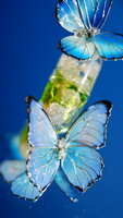 https://images.plurk.com/2LWxPfbXD7GlDyTdJxC13L.jpg