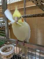 https://images.plurk.com/2Lgz5jHaB1tbkhFr9fI0PT.jpg
