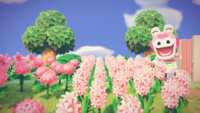https://images.plurk.com/2LmSc2OMmpvFP3USTMtKj2.png