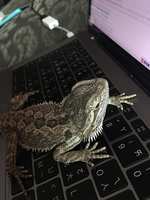 https://images.plurk.com/2Lo1WUj7BuyIXyhygIKkCc.jpg