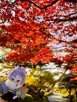 https://images.plurk.com/2LysTzJC3OXV8P5RfRQbpX.jpg