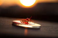 https://images.plurk.com/2LzldFR48EqfnQku5S3lKo.jpg