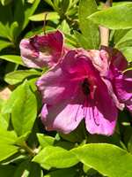 https://images.plurk.com/2MB82AXnWQwbk5wQICNDJU.jpg